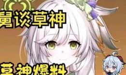 原神宣传草神爆料视频,原神全新角色预告片深度解析